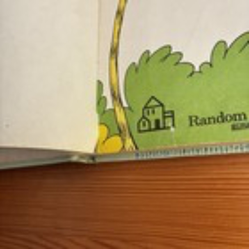 Dr. Seuss Collectible The Lorax 1971 First Library Edition Lake Erie - Picture 15 of 16